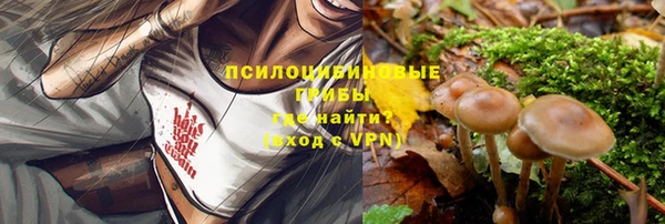 СК Гусев