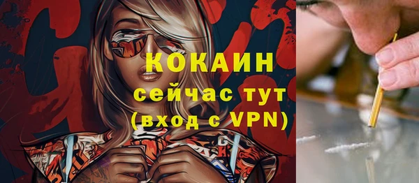 кокс Гусь-Хрустальный