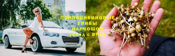 кокс Гусиноозёрск
