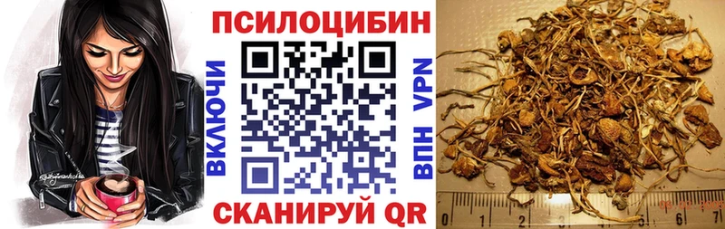 Купить где  Рыбное  Галлюциногенные грибы Psilocybine cubensis 